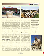 L'allevatore magazine - La Regione Umbria sostiene con forza i propri allevatori