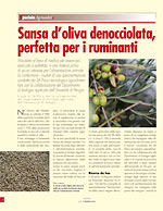 L'allevatore Magazine - Sansa d’oliva denocciolata, perfetta per i ruminanti 