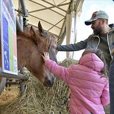 bvambina accarezza un asinello. Agriumbria Fiera Nazionale Agricoltura, Zootecnia, Alimentazione