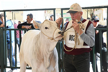 Agriumbria 2024 Mostra Nazionale Agricoltura Zootecnia Alimentazione