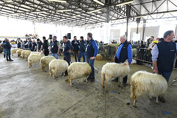 Agriumbria 2024 Mostra Nazionale Agricoltura Zootecnia Alimentazione