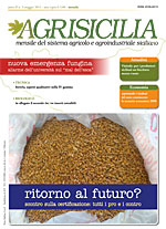 Agrisicilia maggio 2011 - Agriumbria fa il pieno di visite