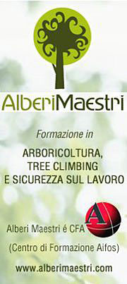 Alberi Maestri arboricoltura, tree climbing, sicurezza sul lavoro