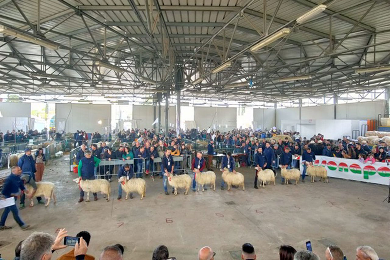 Al via la 55a edizione di Agriumbria