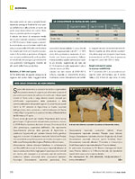 IZ - Non solo Chianina ad Agriumbria 2012