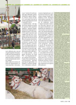 MMW Mondo Macchina - Agriumbria 2012 Mostra Nazionale dellâ€™Agricoltura, della Zootecnia e dellâ€™Alimentazione