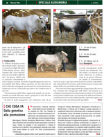 Terra e Vita - Speciale Agriumbria 2013 - art.4 pag2