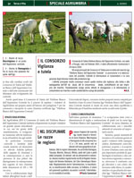 Terra e Vita - Speciale Agriumbria 2013 - art.9 pag2