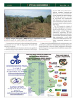 Terra e Vita - Speciale Agriumbria 2012 - Anabic un ruolo chiave nella selezione dei bovini