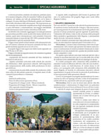 Terra e Vita - Speciale Agriumbria 2012 - Anabic un ruolo chiave nella selezione dei bovini