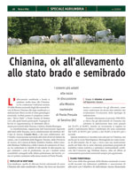 Terra e Vita - Speciale Agriumbria 2012 - Anabic un ruolo chiave nella selezione dei bovini