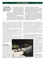 Terra e Vita - Speciale Agriumbria 2012 - Anabic un ruolo chiave nella selezione dei bovini