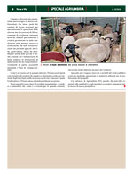 Terra e Vita - Speciale Agriumbria 2012 - Una fiera alla ricerca di nuove prospettive