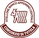 consorzio 2013