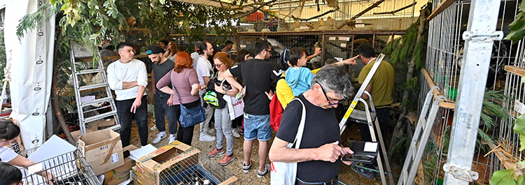 Mostra nazionale agricoltra zootecnia Agriumbria Umbriafiere