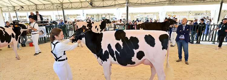 Sfilate animali da cortile Agriumbria Umbriafiere