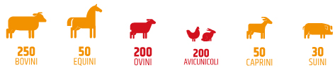 Agriumbria la più ampia rassegna zootecnica d'Italia